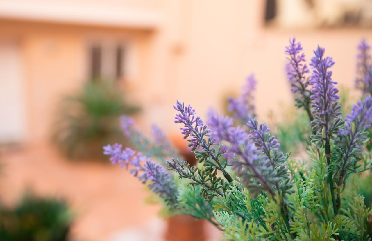 Il Cortile Delle Esperidi Leilighet Lecce Eksteriør bilde